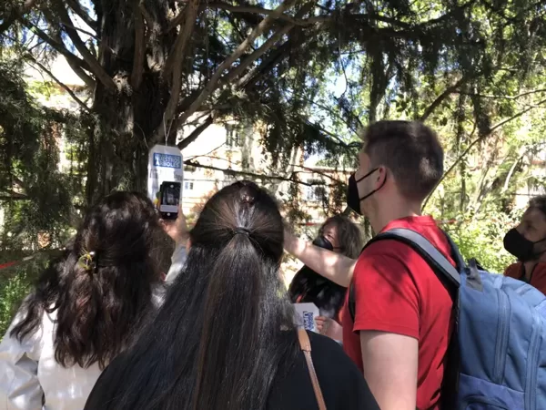 Particiapción de la Comunidad Universitaria