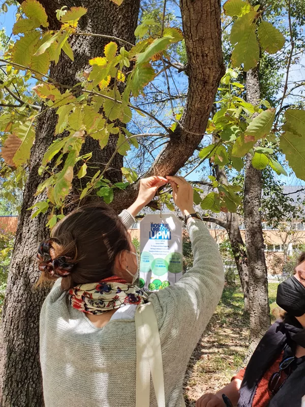 Colocando las etiquetas BOSQUE URBANO UPM