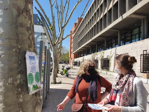 Etiquetas en los árboles de Ciudad Universitaria